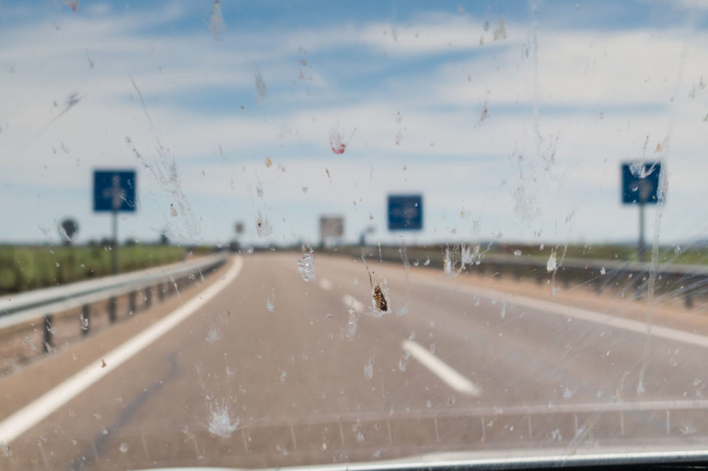 Cómo limpiar los insectos del parabrisas